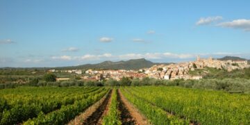 La Reserva de la Biosfera: el millor projecte col·lectiu per a les Terres de l’Ebre, per Josep Caparrós