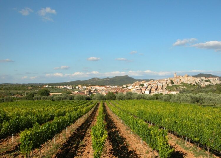 La Reserva de la Biosfera: el millor projecte col·lectiu per a les Terres de l’Ebre, per Josep Caparrós