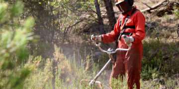 Agricultura comença l’eix de confinament d’incendis entre Rasquera i el Perelló per protegir Cardó, el Boix i Tivissa