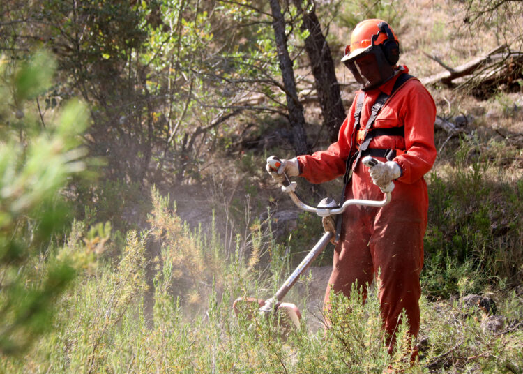 Agricultura comença l’eix de confinament d’incendis entre Rasquera i el Perelló per protegir Cardó, el Boix i Tivissa