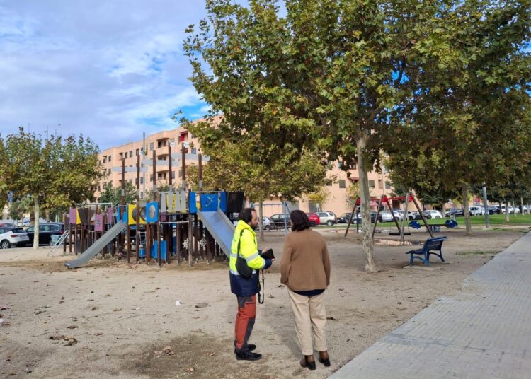 La poda: quan els arbres també tenen memòria, per Marga Abelló