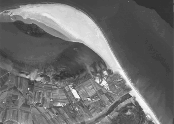 ‘El Delta no es pot entendre des d’un despatx’ , per Diana Valimanya