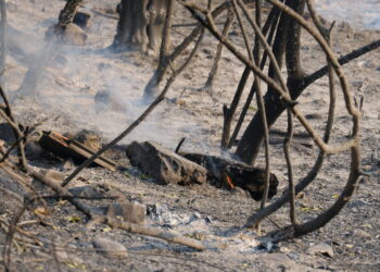 La mort del bomber Antonio Serrano, el moment més tràgic de l’incendi del Baix Ebre