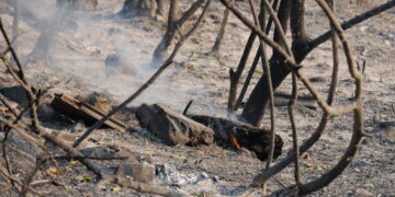 La mort del bomber Antonio Serrano, el moment més tràgic de l’incendi del Baix Ebre