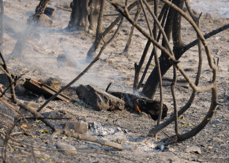 La mort del bomber Antonio Serrano, el moment més tràgic de l’incendi del Baix Ebre