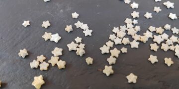 Les estrelletes de Mig Camí, un patrimoni natural que perdura en el temps