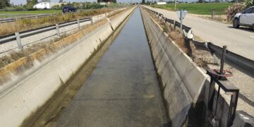 La proliferació d’algues per la calor obliga als regants de l’Esquerra a restringir el reg als canals
