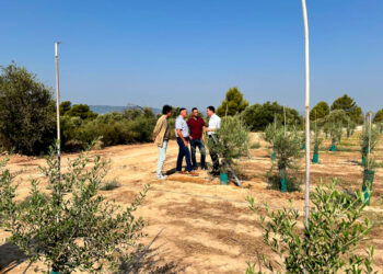 Agricultura reactiva i amplia en més de 90 hectàrees el regadiu de Vingalis