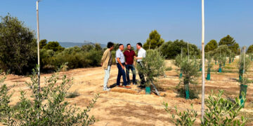 Agricultura reactiva i amplia en més de 90 hectàrees el regadiu de Vingalis