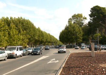 Junts per Tortosa demana ajornar les obres de la Rambla Felip Pedrell fins que acabe la temporada de cítrics