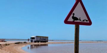 Salines de la Trinitat