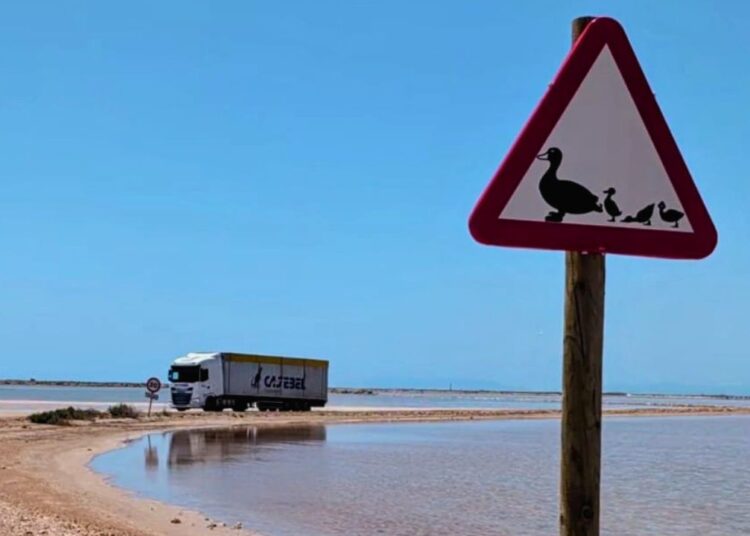 Salines de la Trinitat