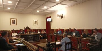 El ple de Tortosa aprova la proposta dels veïns per canviar el nom de Grup El Temple per 13 i Horta